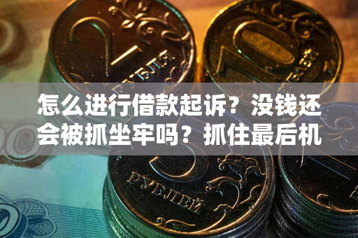 武汉怎么进行借款起诉？没钱还会被抓坐牢吗？抓住最后机会！