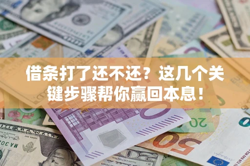 武汉借条打了还不还？这几个关键步骤帮你赢回本息！