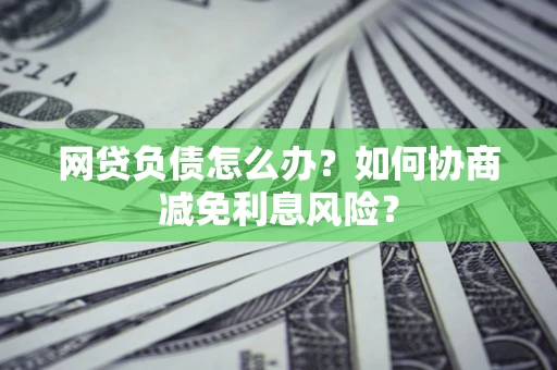 武汉网贷负债怎么办？如何协商减免利息风险？