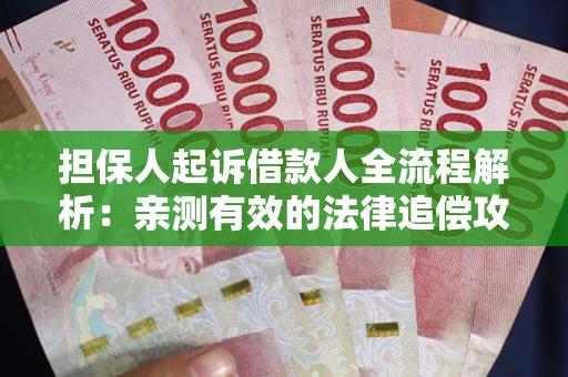 武汉担保人起诉借款人全流程解析：亲测有效的法律追偿攻略