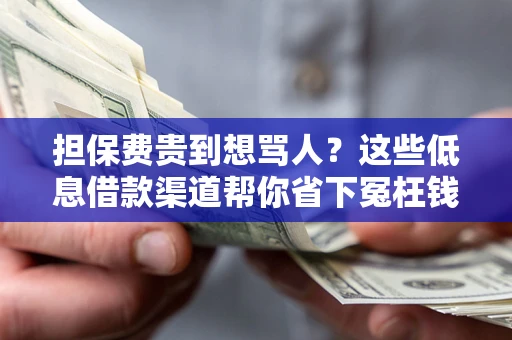 武汉担保费贵到想骂人？这些低息借款渠道帮你省下冤枉钱