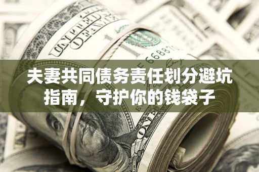武汉夫妻共同债务责任划分避坑指南，守护你的钱袋子