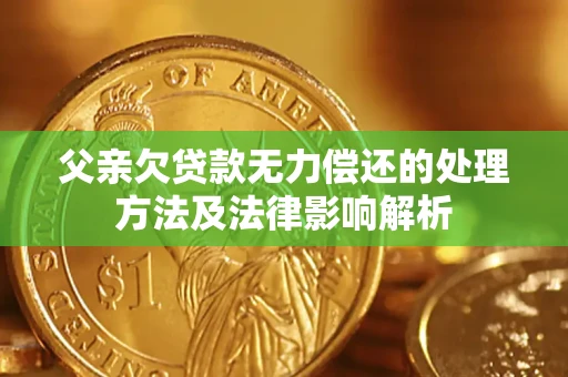 武汉父亲欠贷款无力偿还的处理方法及法律影响解析
