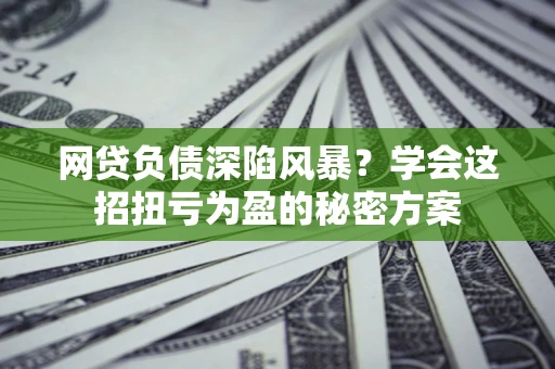 武汉网贷负债深陷风暴？学会这招扭亏为盈的秘密方案